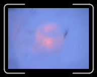 0212_0301 Sverige 126 * 800 x 600 * (12KB)